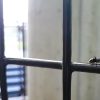 Jak pozbyć się mrówek z domu? Kilka sprawdzonych sposobów