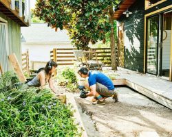 Samodzielne zakładanie ogrodów – czy to ma sens?